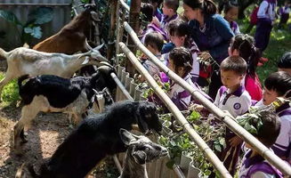 番禺喜出望外生態樂園 超值野炊套餐，全家共享秋日田園之樂